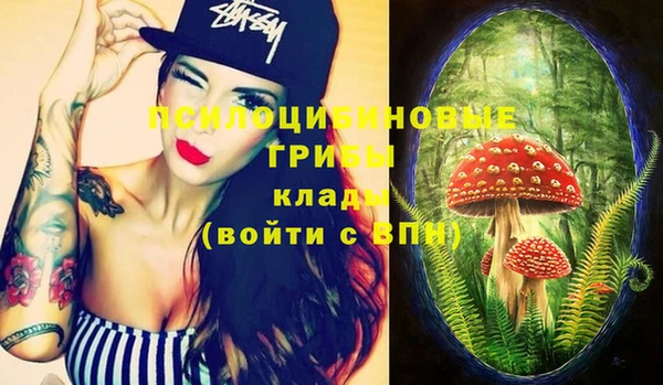 МДПВ Карталы