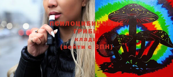 МДПВ Карталы