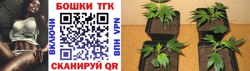 Купить где  Суоярви  Каннабис Amnesia 